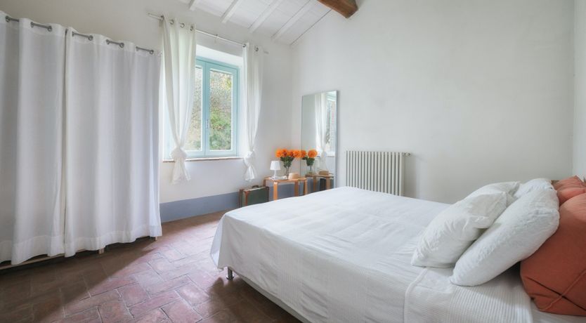 Photo of That Old Chestnut