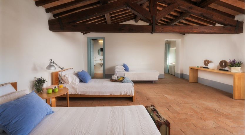 Photo of That Old Chestnut