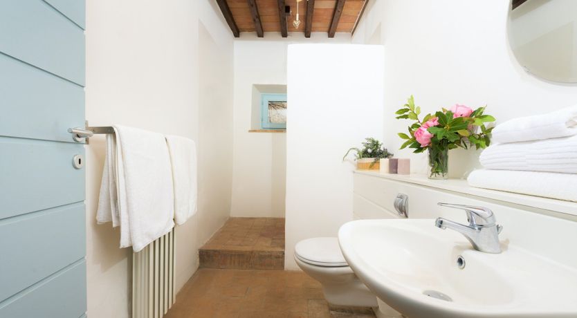 Photo of That Old Chestnut