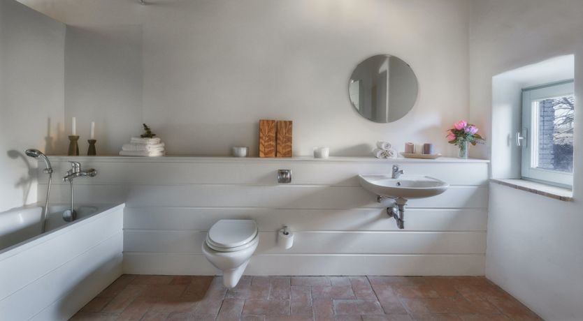 Photo of That Old Chestnut