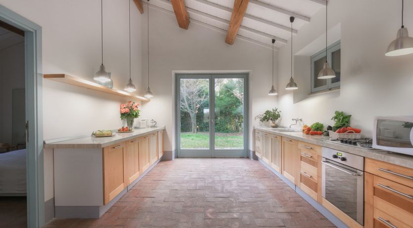 Photo of That Old Chestnut