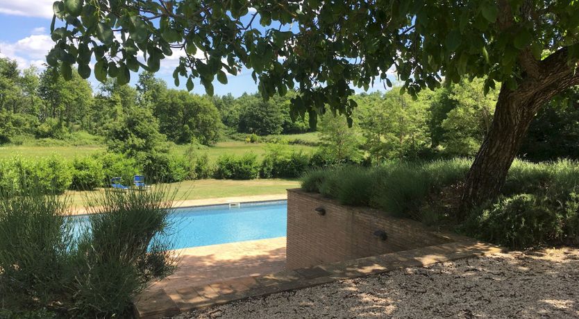 Photo of That Old Chestnut