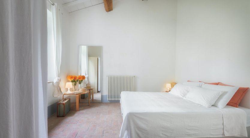 Photo of That Old Chestnut