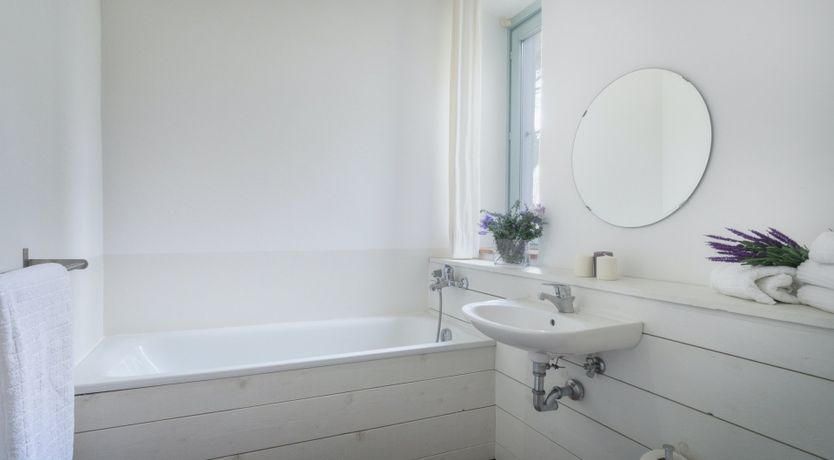 Photo of That Old Chestnut