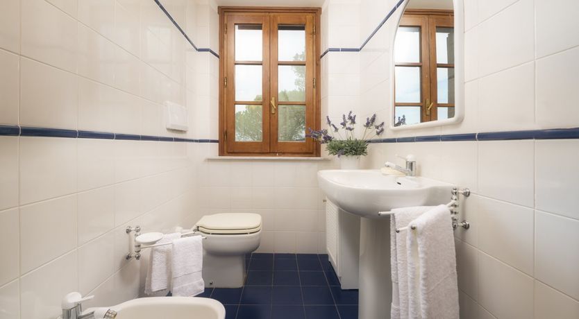 Photo of Sunshine Burst