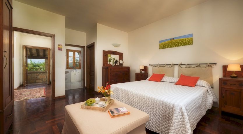 Photo of Sunshine Burst