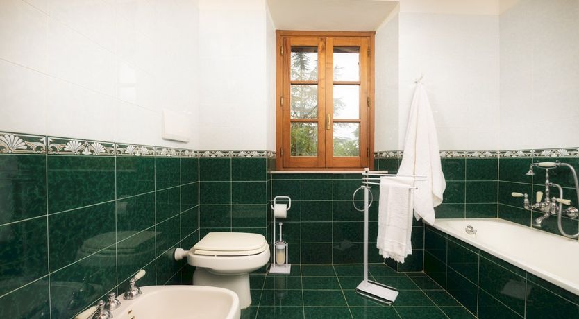 Photo of Sunshine Burst