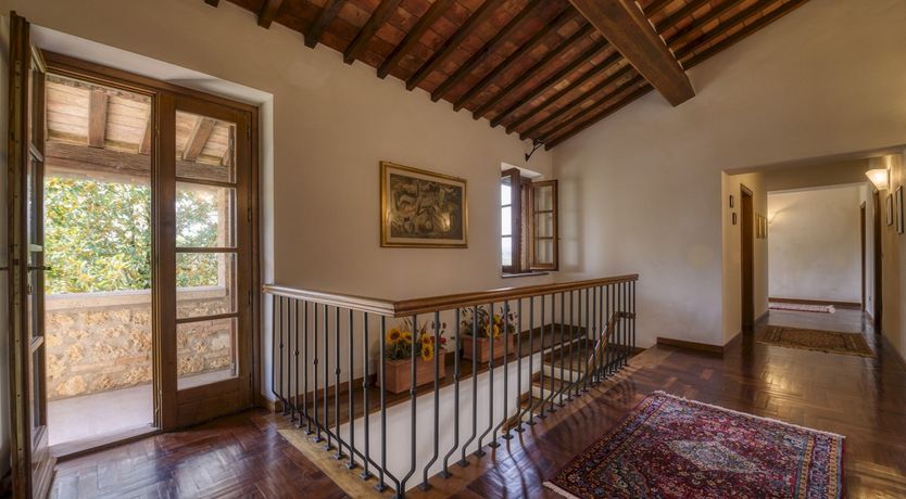 Photo of Sunshine Burst