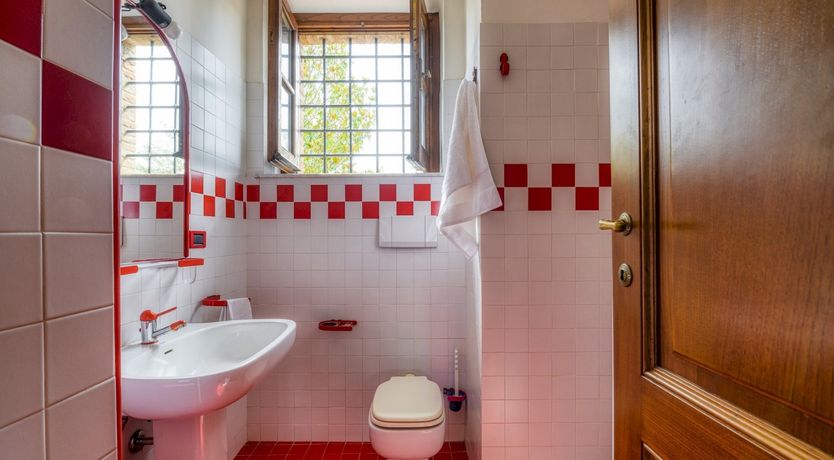 Photo of Sunshine Burst