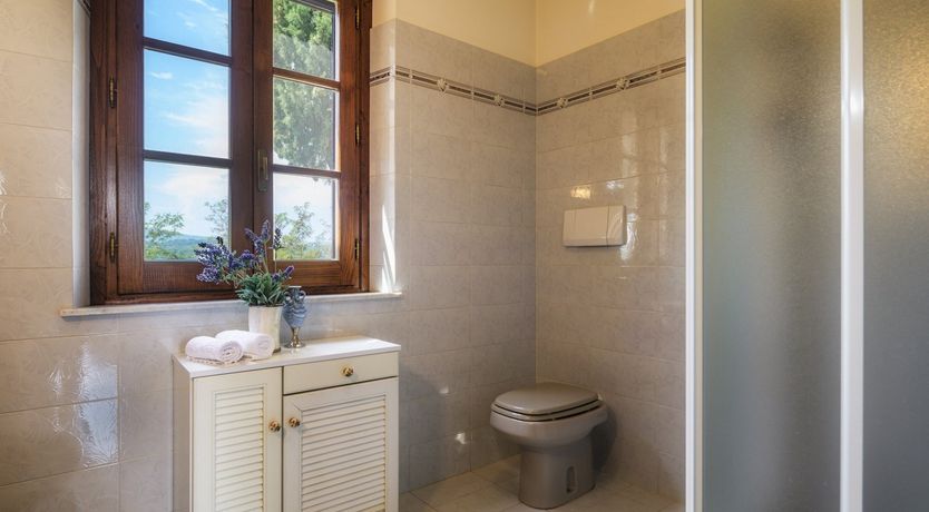 Photo of Sunshine Burst