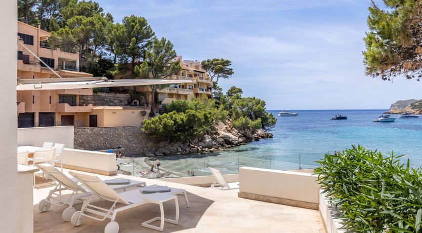 Photo of The Pearlescent King