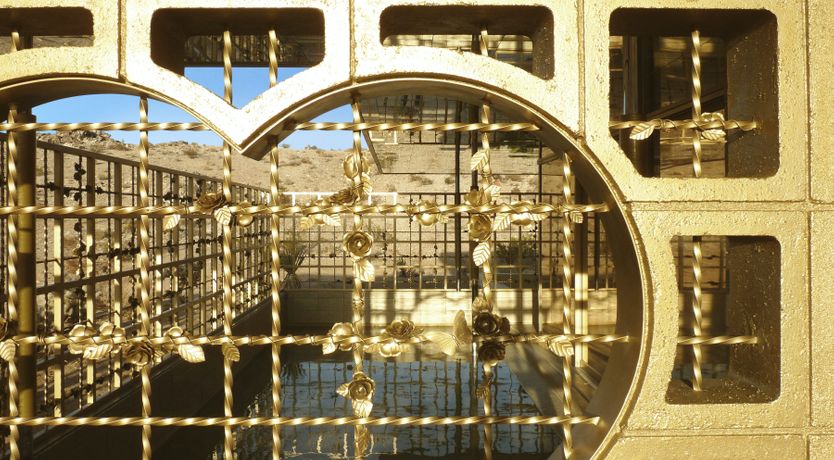 Photo of Golden Acid