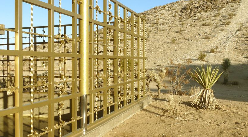 Photo of Golden Acid