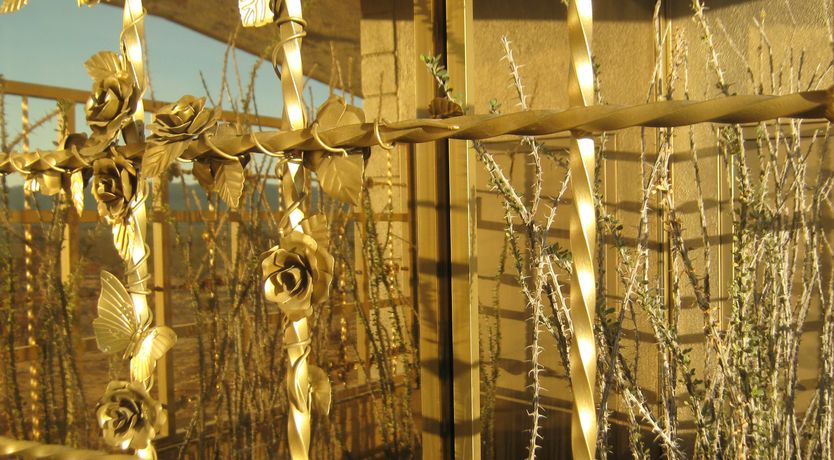 Photo of Golden Acid