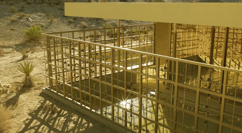 Photo of Golden Acid