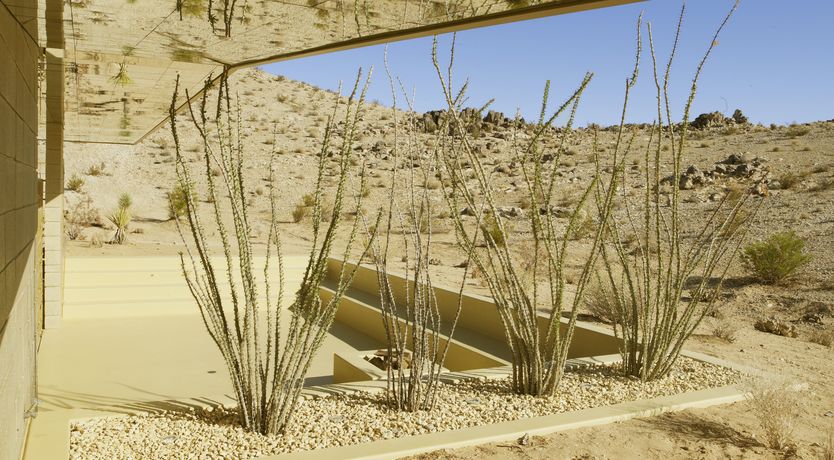 Photo of Golden Acid