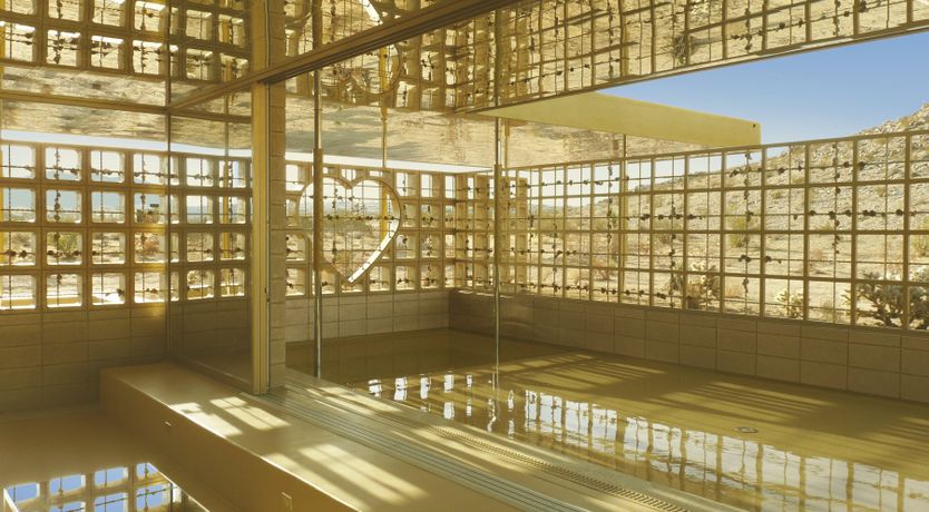 Photo of Golden Acid