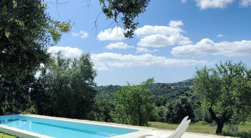 Photo of Minimalist Muse