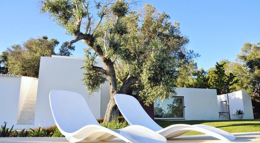 Photo of Minimalist Muse