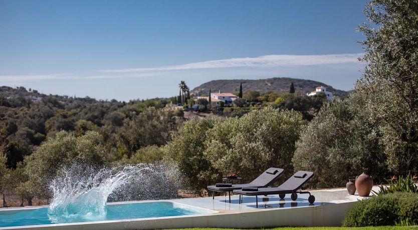 Photo of Minimalist Muse