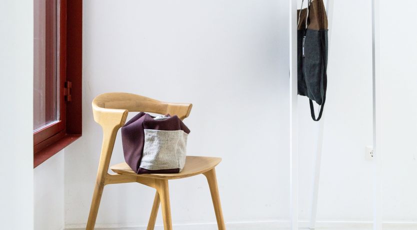 Photo of Minimalist Muse