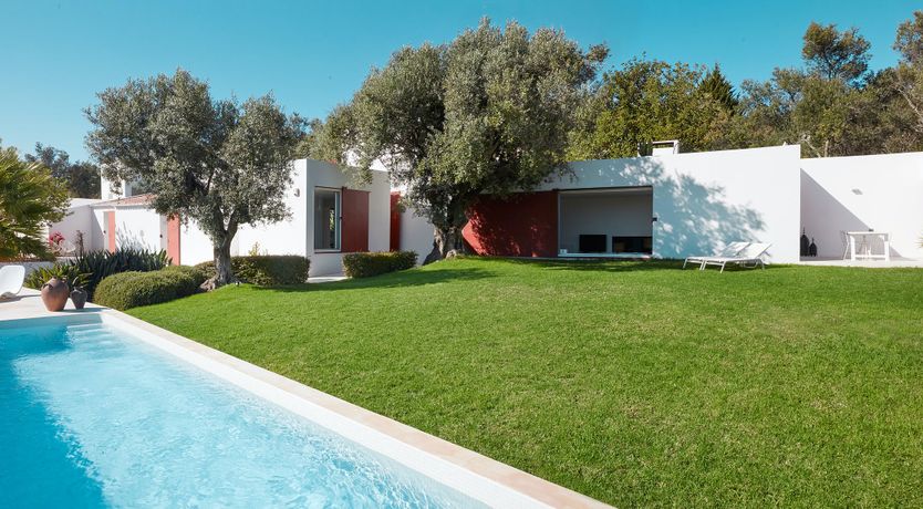 Photo of Minimalist Muse