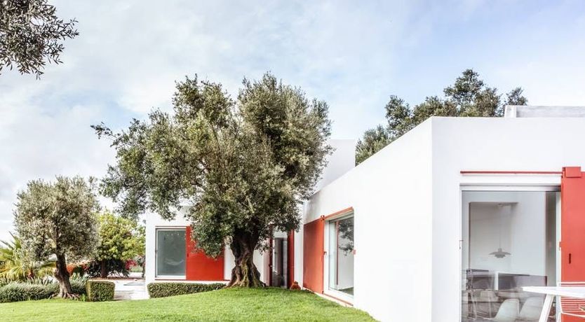 Photo of Minimalist Muse