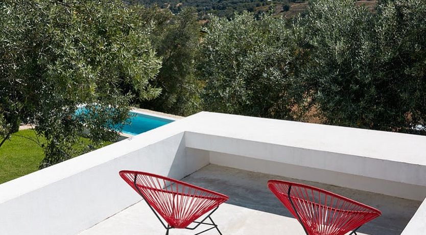 Photo of Minimalist Muse