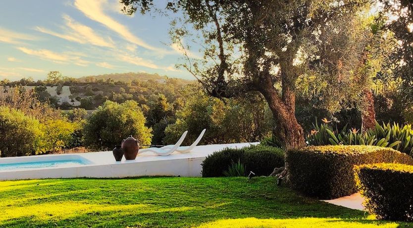 Photo of Minimalist Muse