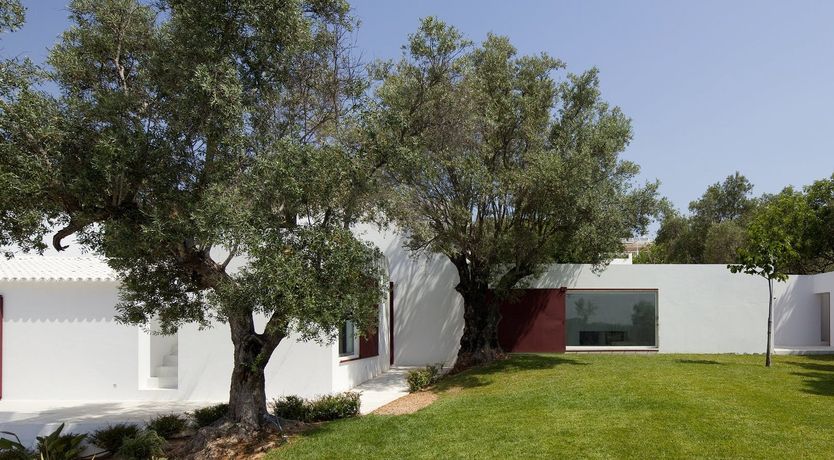 Photo of Minimalist Muse