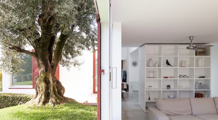 Photo of Minimalist Muse