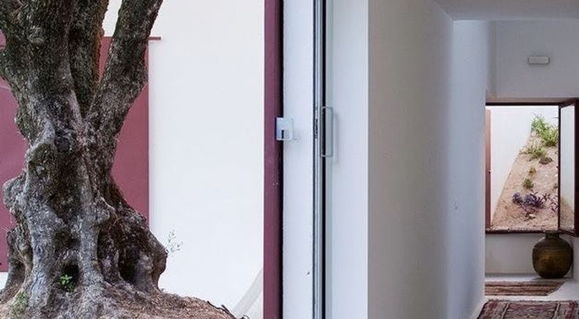 Photo of Minimalist Muse