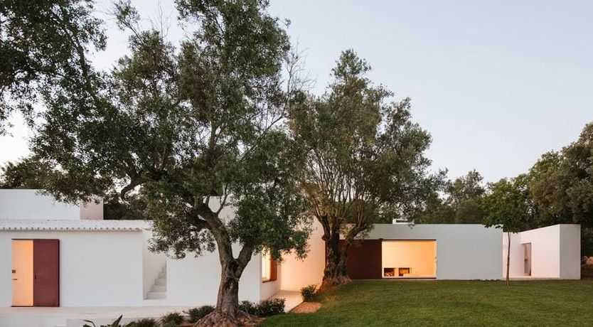 Photo of Minimalist Muse