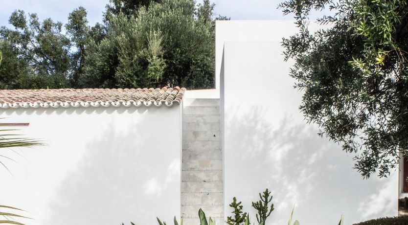 Photo of Minimalist Muse