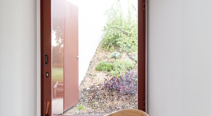 Photo of Minimalist Muse