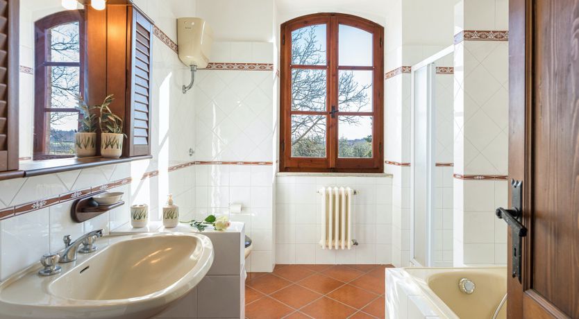 Photo of The Hazelnut Harvest