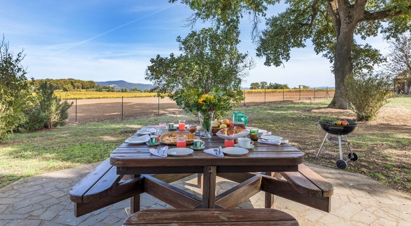 Photo of The Hazelnut Harvest