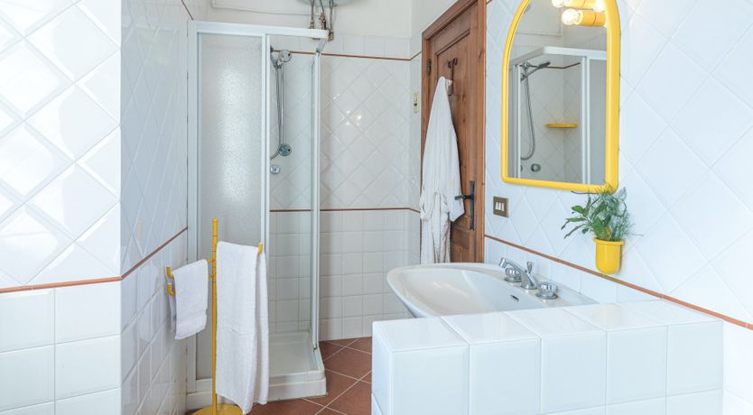 Photo of The Hazelnut Harvest