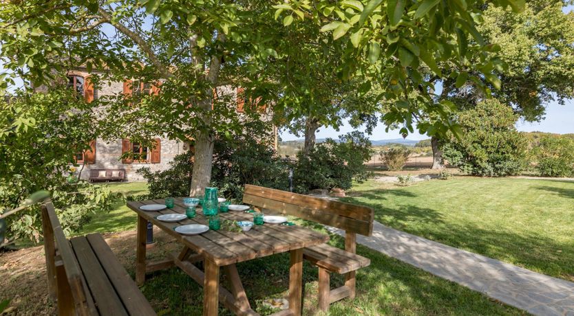 Photo of The Hazelnut Harvest