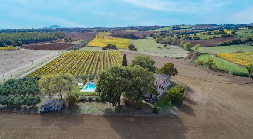 Photo of The Hazelnut Harvest