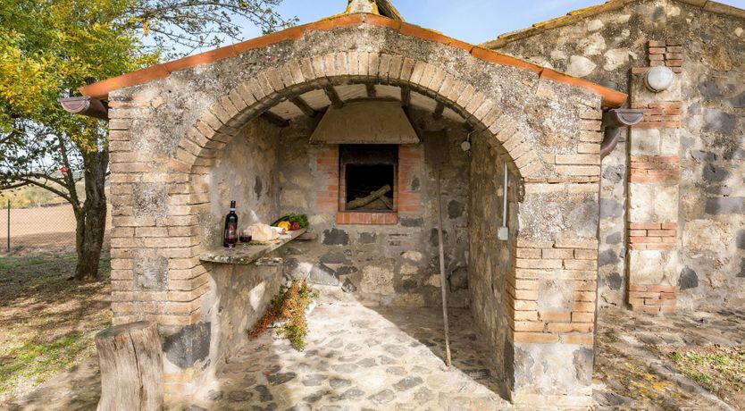 Photo of The Hazelnut Harvest