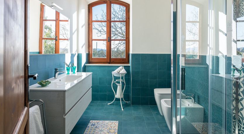 Photo of The Hazelnut Harvest