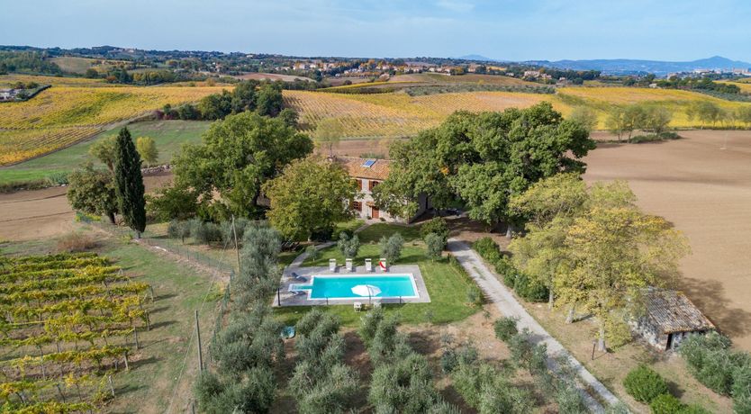 Photo of The Hazelnut Harvest