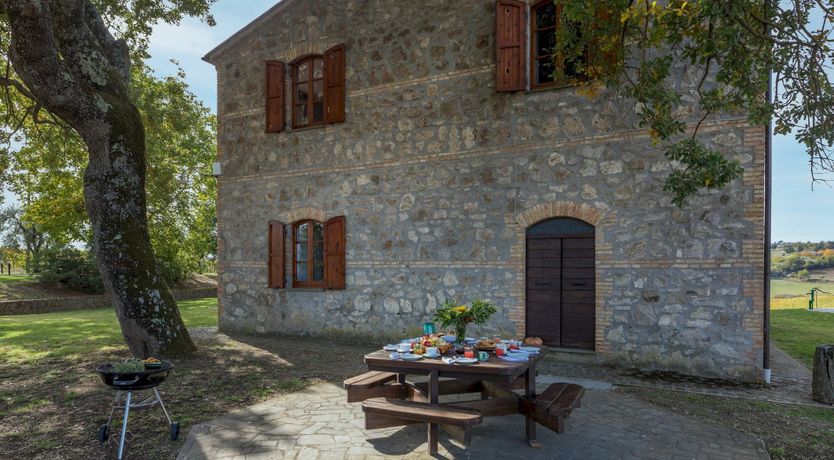 Photo of The Hazelnut Harvest