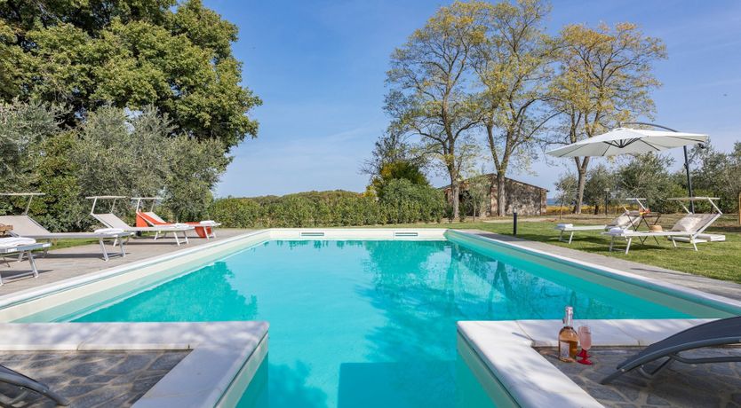 Photo of The Hazelnut Harvest