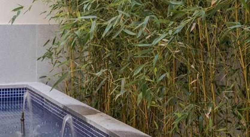 Photo of Madrid in Bloom