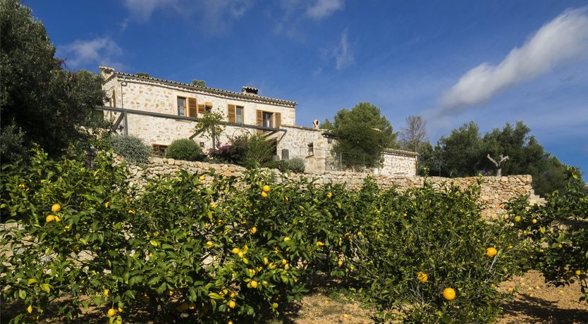 Photo of Mediterranean Mornings