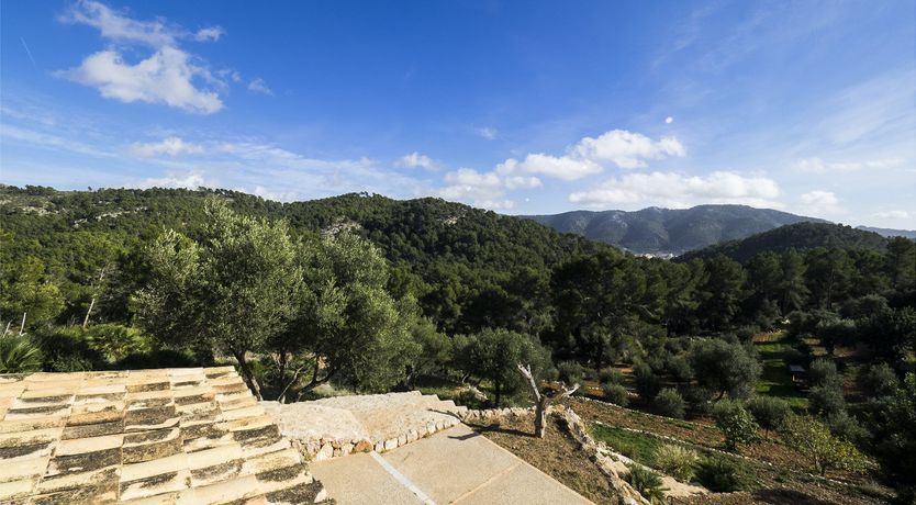 Photo of Mediterranean Mornings