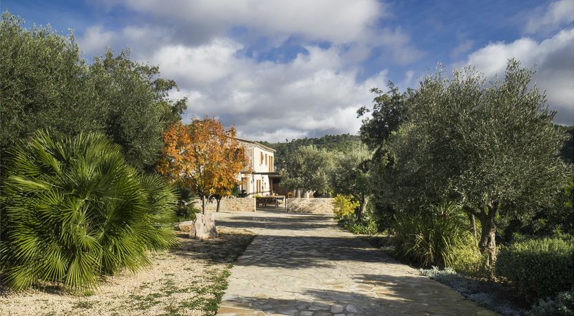 Photo of Mediterranean Mornings