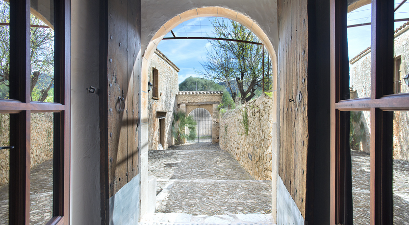 Photo of Lemon Slice